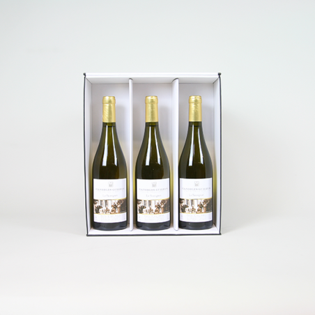 Calages Calage boîte 3x bouteilles