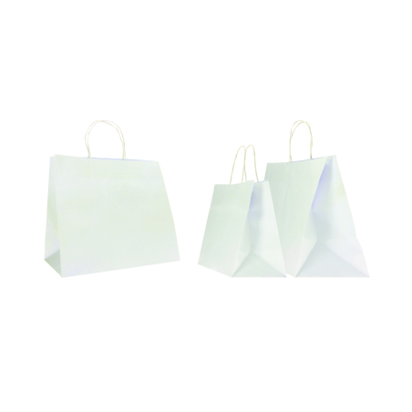 SAC PAPIER SAFARI COLORÉ AVEC POIGNÉES TORSADÉES