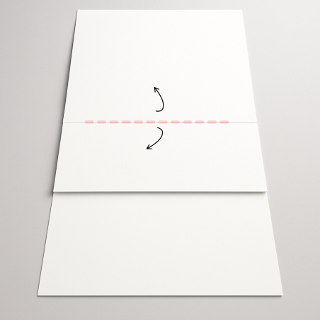 WONDERBOX 60X45X26 CM