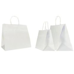 SAC PAPIER  POIGNÉE TORSADÉES| 22x10x29