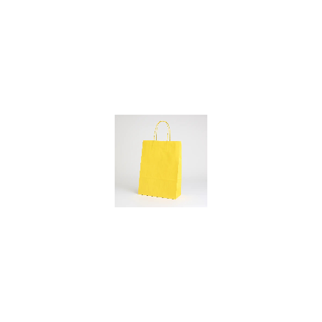 SAC PAPIER  POIGNÉE TORSADÉES| 26x11x35