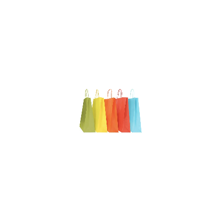 SAC PAPIER  POIGNÉE TORSADÉES| 36x12x41